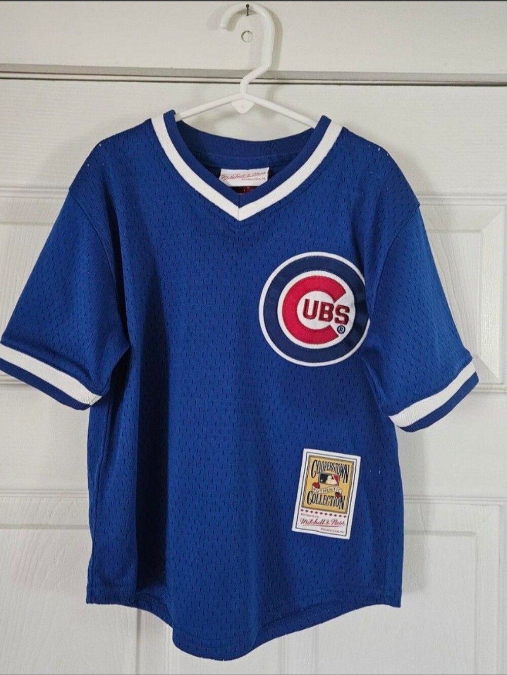 Mitchell & Ness Ryne Sanberg Chicago Cubs Blue Mesh Kids Jersey Top 7 - Picture 1 of 7